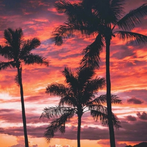 Profile Picture of Seanna Elazab (@lovesoccer0143) on Poshmark