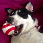 Profile Picture of Mary (@mary_fortepaulle) on Instagram