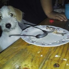 Jaime Bernabe - Twitter Profile Picture of Jaime Bernabe (@bernabejaime45) on Twitter