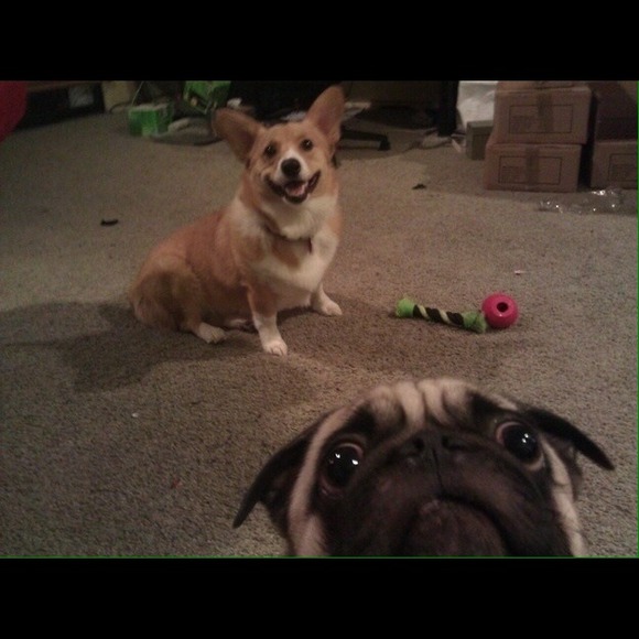 Profile Picture of Alice Lee (@alicemato) on Poshmark