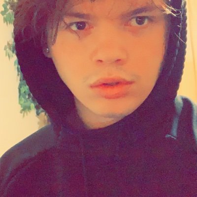Profile Picture of Tyler Priest (@TylerPr97073514) on Twitter