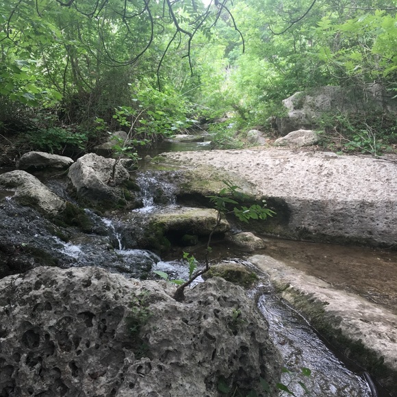 Profile Picture of Bryan Uy (@bruy57) on Poshmark