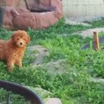 Jonathan Grover - Instagram Profile Picture of Jonathan Grover (@the_tasmania_princess) on Instagram