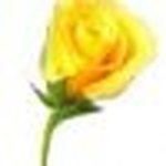 Profile Picture of Kristal Hilpert (@khilpert1969) on Instagram
