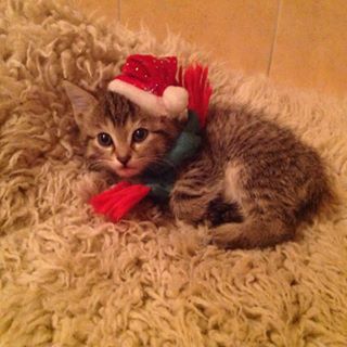 Profile Picture of Jakub Laska (@Jakub-Laska) on Facebook