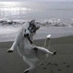 Profile Picture of MichaelHuang (@michael_huang0510) on Instagram