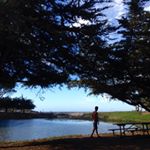 Geraldo - Instagram Profile Picture of Geraldo (@geraldo.rangel) on Instagram