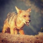 Profile Picture of Robert Farber (@rfarber92) on Instagram