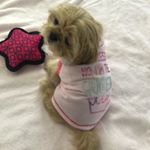 Profile Picture of Diana Simons (@diana229) on Instagram