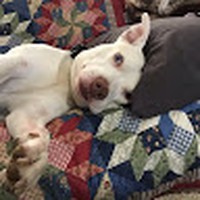 Profile Picture of Bruno Rivera (@bruno-rivera-13) on Quora