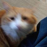 Profile Picture of Leo Lemon (@leo__lemon) on Instagram