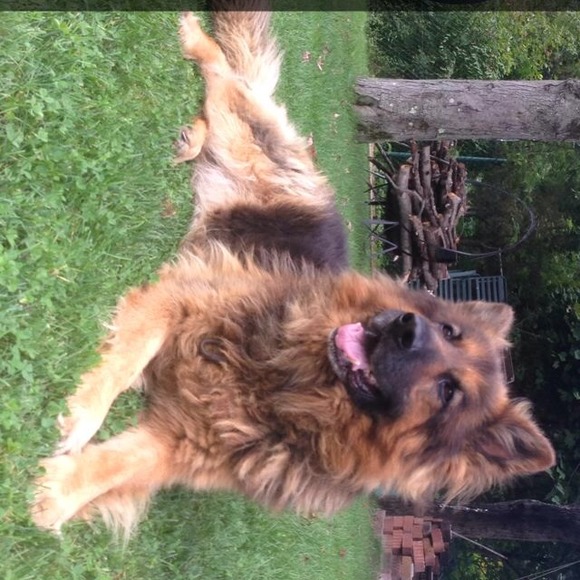 Profile Picture of Claudia Piechota (@cjulia) on Poshmark