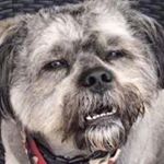 Profile Picture of Jeffrey Caglë (@yung_jeffrey21) on Instagram