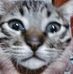 Profile Picture of Axel Trapa (@axel.lexa.94651) on Facebook
