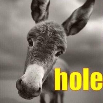 Profile Picture of A$$ Hole (@ChadClement5000) on Twitter