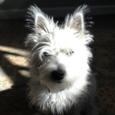 Profile Picture of Patricia Welch (@LilMuffn) on Twitter