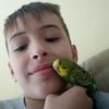 Profile Picture of brian liam sergi (@briansergi5) on Tiktok