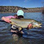 Profile Picture of Claire Jorgensen (@riverqueen208) on Instagram