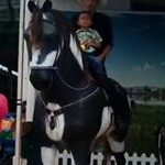 Caleb Marroquin - Instagram Profile Picture of Caleb Marroquin (@caleb.marroquin.1000) on Instagram