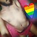 Profile Picture of Ravi Raghavan (@ravi.raghavan.7906) on Facebook