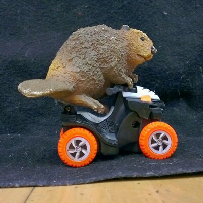 Profile Picture of Chris Snelling (@duckymew) on Twitter