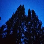 Profile Picture of Kenny Bryan (@knybryan) on Instagram