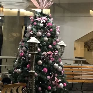 Profile Picture of murr.rita (@murr.rita) on Instagram