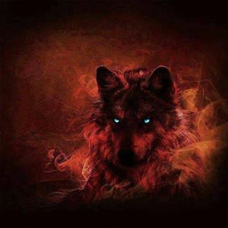 Reid Knight - Facebook Profile Picture of Reid Knight (@reid.knight.39) on Facebook