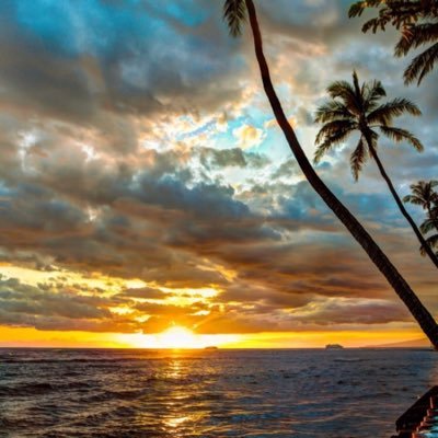 Profile Picture of Kim Haggard (@KimHaggard79) on Twitter