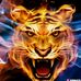 Profile Picture of Kharnak Ansari (@kharnak.ansari) on Facebook
