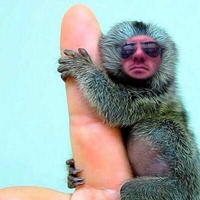 Profile Picture of Daniel Ehrenfeld (@EhrenfeldDaniel) on Twitter