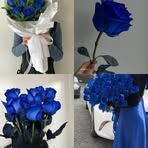 Profile Picture of Terrell Shari (@Terrell-Shari) on Facebook