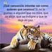 Profile Picture of Armando Pedro (@armando.pedro.315428) on Facebook