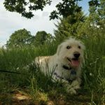 Profile Picture of Dylan Hyde (@_dylan_c_hyde_) on Instagram