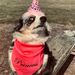 Profile Picture of Drew Morrison (@izzyanddrew) on Pinterest