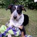 Profile Picture of Nancy Collins (@nancy.collins.92167) on Facebook