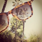 Gary Vides - Instagram Profile Picture of Gary Vides (@agralife) on Instagram