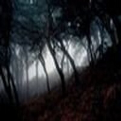 Profile Picture of Carla Beltran (@carla_beltrann) on Twitter