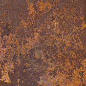 Profile Picture of Rusty's Rust (@rustys_rust) on Youtube