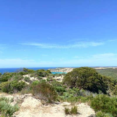 Profile Picture of Ben Mieszkuc (@BMieszkuc) on Twitter