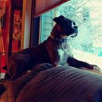 Profile Picture of Gary Riese (@garyriese) on Instagram