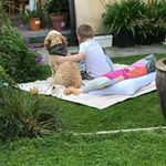 Profile Picture of clare cantwell (@cantwellclare) on Instagram