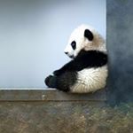 준규  Kevin - Instagram Profile Picture of 준규  Kevin (@junekyukim) on Instagram