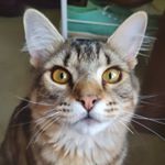 Profile Picture of dustinlamkin (@dustinlamkin18) on Instagram