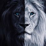 Profile Picture of Barry Anderson (@barry.anderson) on Instagram