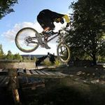 Profile Picture of Dennis Lotter (@dennislotter) on Instagram