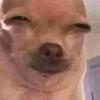 Profile Picture of Sam Belcher (@@sambelcher04) on Tiktok