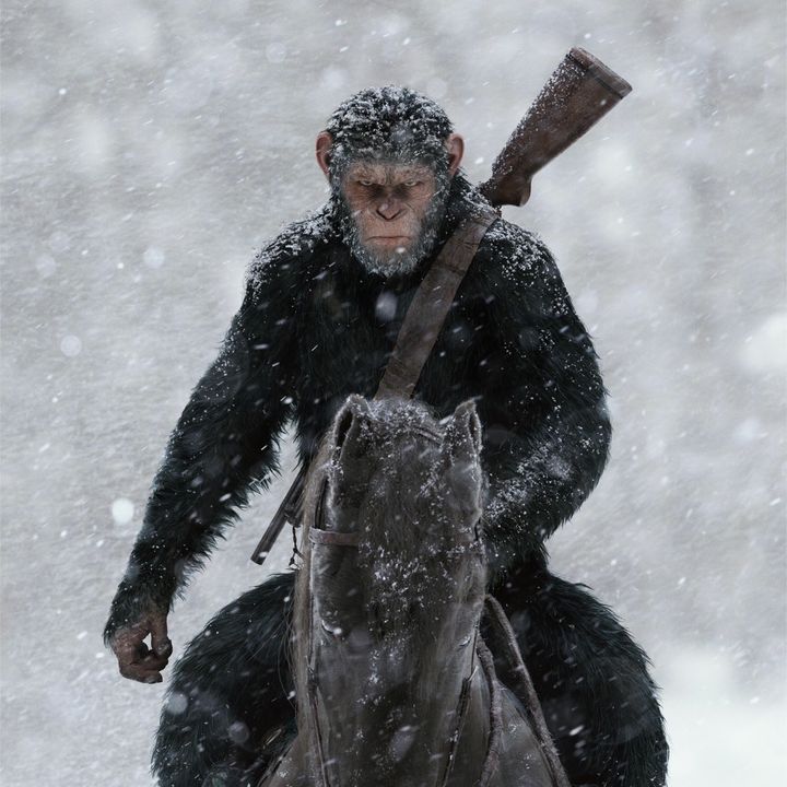 Profile Picture of Kirk (@kirk6108) on Tiktok