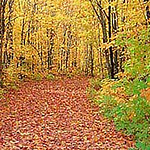 Susantha Sanjeewa Nawarathna - Flickr Profile Picture of Susantha Sanjeewa Nawarathna (@susantha's photo) on Flickr