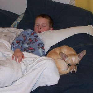 Profile Picture of Owen Peyton (@owen_peyton) on Twitter